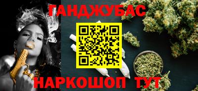 стафф Гатчина