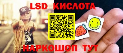 стафф Гатчина