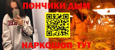 стафф Гатчина
