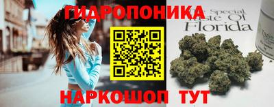 стафф Гатчина