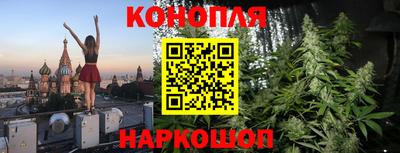 стафф Гатчина