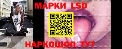 стафф Гатчина