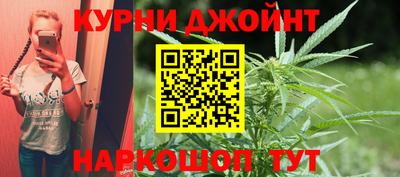 стафф Гатчина