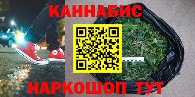 стафф Гатчина