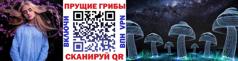 Псилоцибиновые грибы мухоморы  Обнинск 